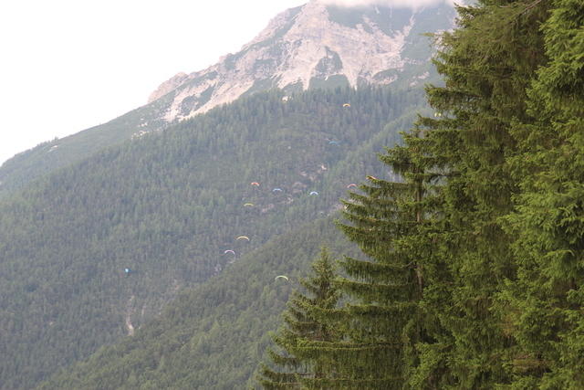 IMG 4667