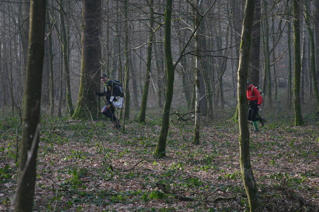 img 0719