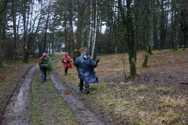 IMG 2962