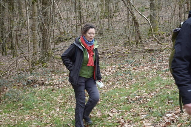 DSC03464