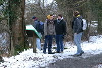IMG 4217